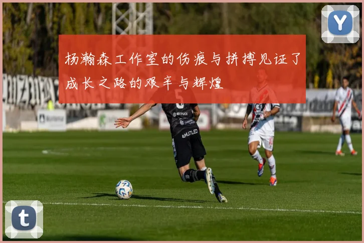 杨瀚森工作室的伤痕与拼搏见证了成长之路的艰辛与辉煌